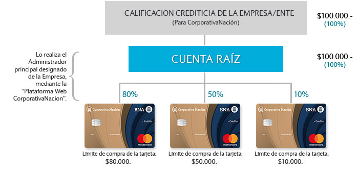 Explicación gráfica sobre la asignación de porcentajes para cada tarjeta.