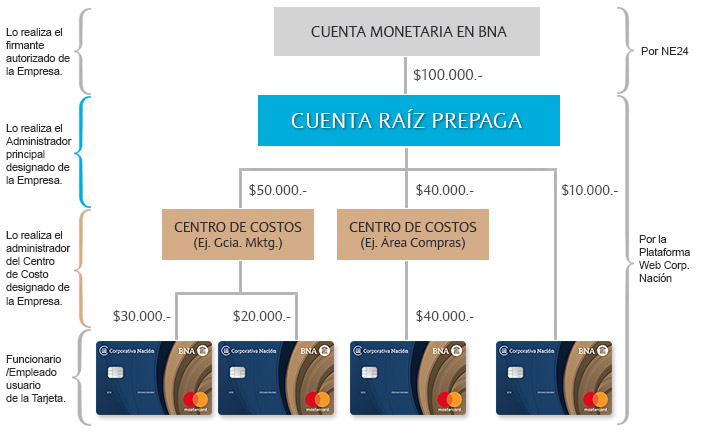 Explicación gráfica sobre la asignación de porcentajes para cada tarjeta.
