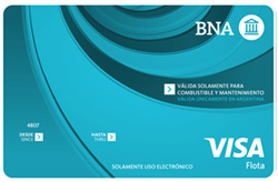 Tarjeta Visa Flota.