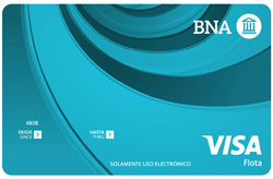 Tarjeta Visa Flota.